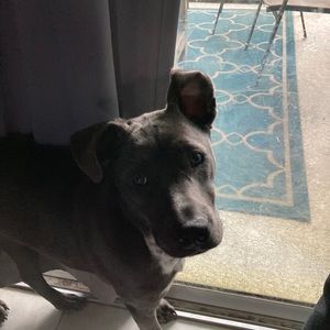 Meet your Posher, Sophia